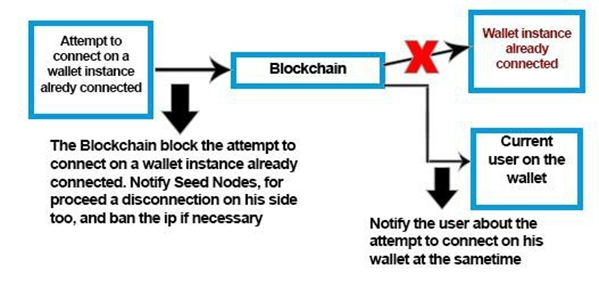 Connected Wallet Instance